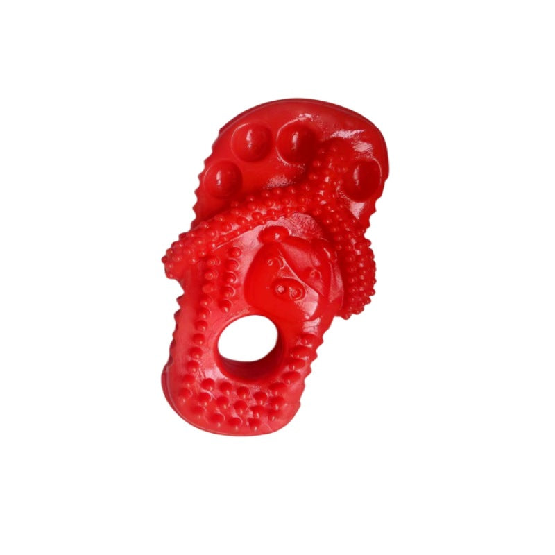 Slipper Shaped Dog Chew Toy, Durable TPR Teething Dental Cleaning Toy for Puppy Small Dogs Interactive Play